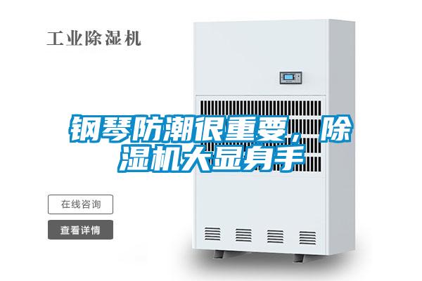 钢琴防潮很重要,除湿机大显身手