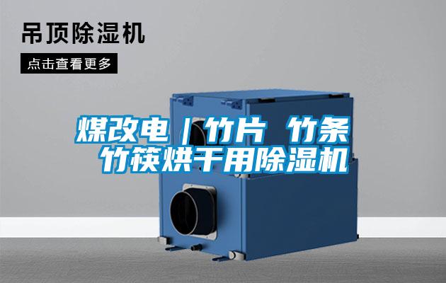 煤改电|竹片 竹条 竹筷烘干用除湿机