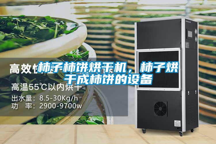 柿子柿饼烘干机,柿子烘干成柿饼的设备