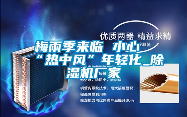 梅雨季来临 小心“热中风”年轻化_除湿机厂家