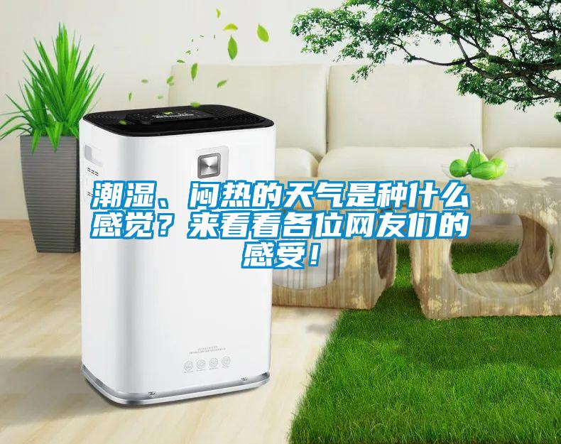 潮湿、闷热的天气是种什么感觉?来看看各位网友们的感受!