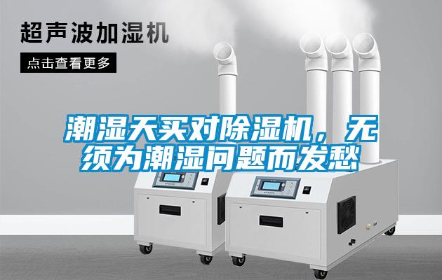 潮湿天买对除湿机,无须为潮湿问题而发愁