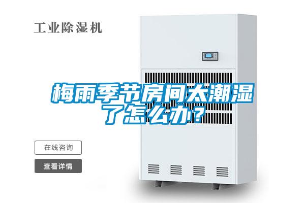 梅雨季节房间太潮湿了怎么办?