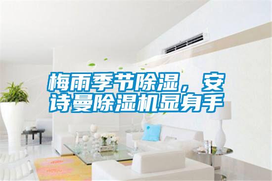 梅雨季节除湿,安诗曼除湿机显身手