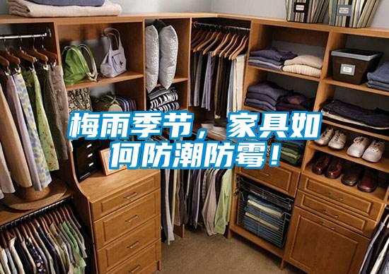 梅雨季节,家具如何防潮防霉!