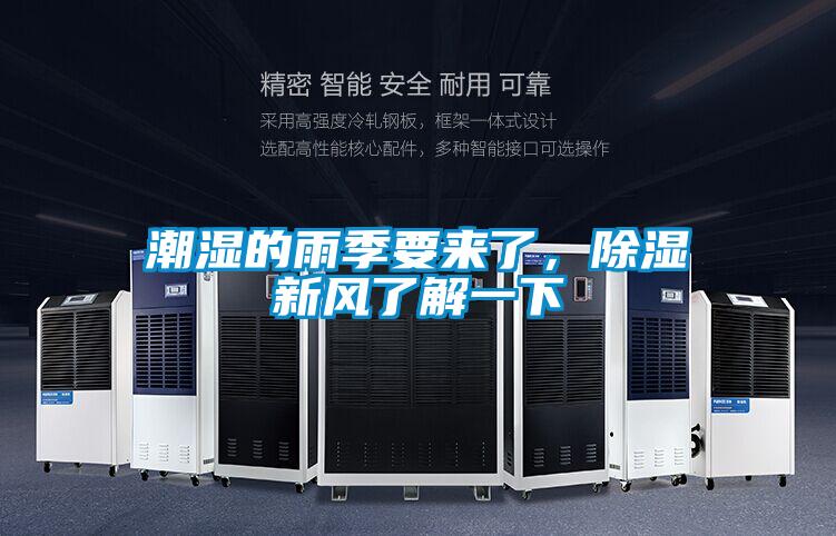 潮湿的雨季要来了,除湿新风了解一下