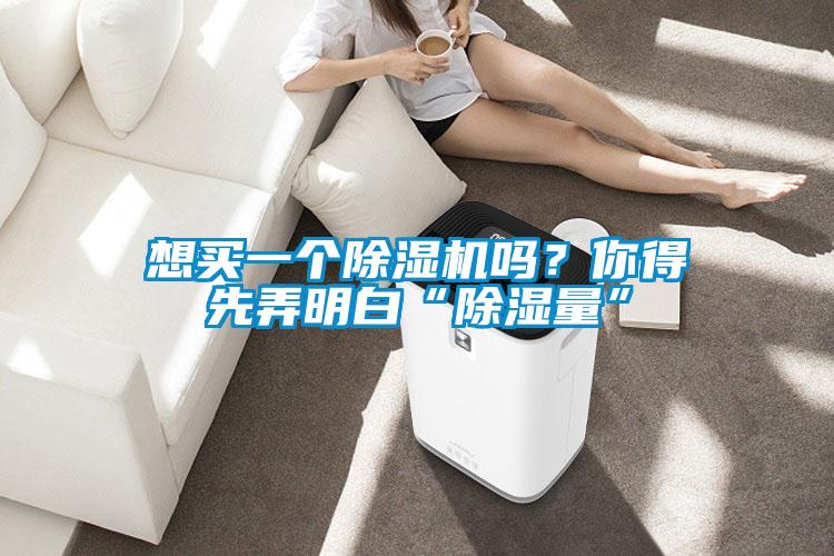 想买一个除湿机吗?你得先弄明白“除湿量”