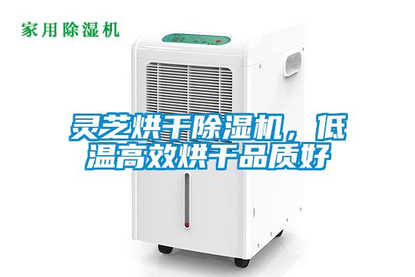 灵芝烘干除湿机,低温高效烘干品质好