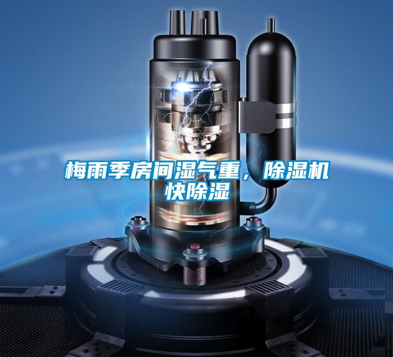 梅雨季房间湿气重,除湿机快除湿