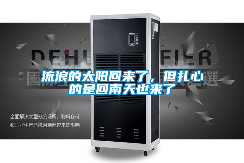 流浪的太阳回来了,但扎心的是回南天也来了