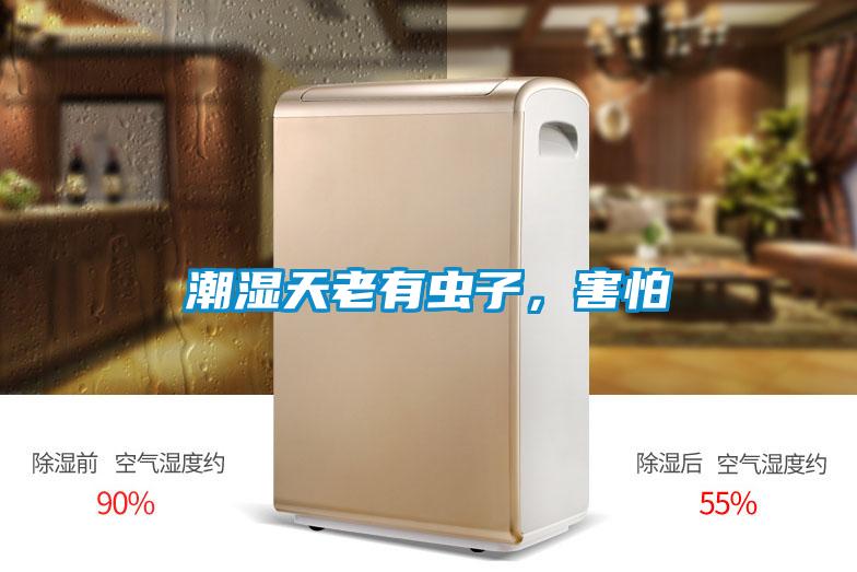 潮湿天老有虫子,害怕