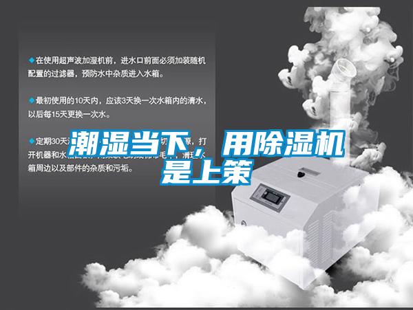 潮湿当下,用除湿机是上策