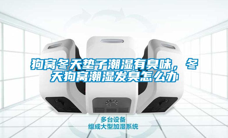 狗窝冬天垫子潮湿有臭味,冬天狗窝潮湿发臭怎么办