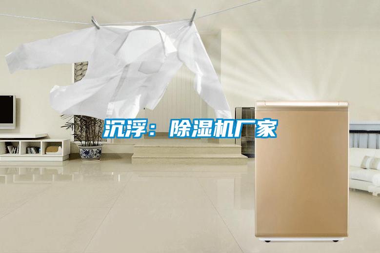 沉浮:除湿机厂家