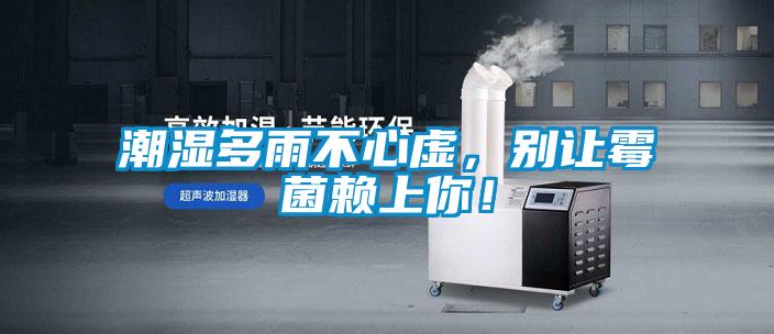 潮湿多雨不心虚,别让霉菌赖上你!