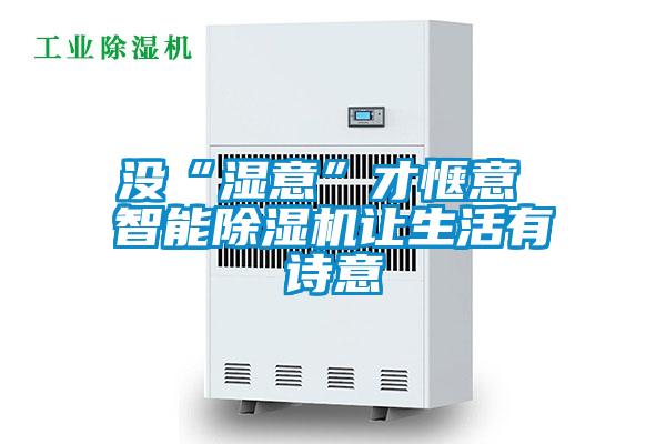 没“湿意”才惬意 智能除湿机让生活有诗意
