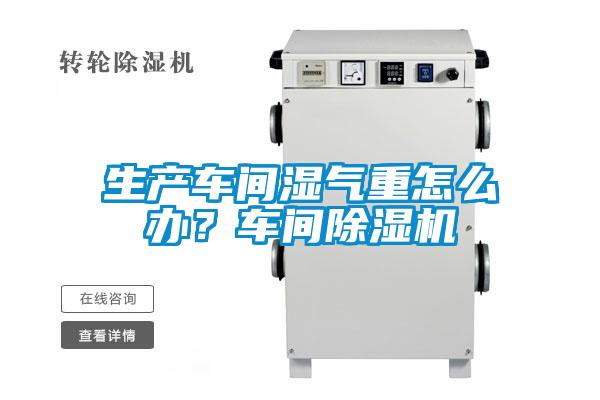 生产车间湿气重怎么办?车间除湿机