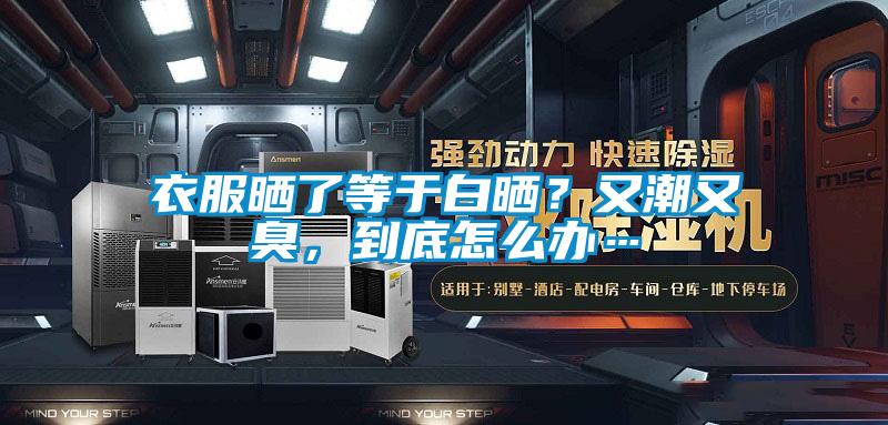 衣服晒了等于白晒?又潮又臭,到底怎么办…