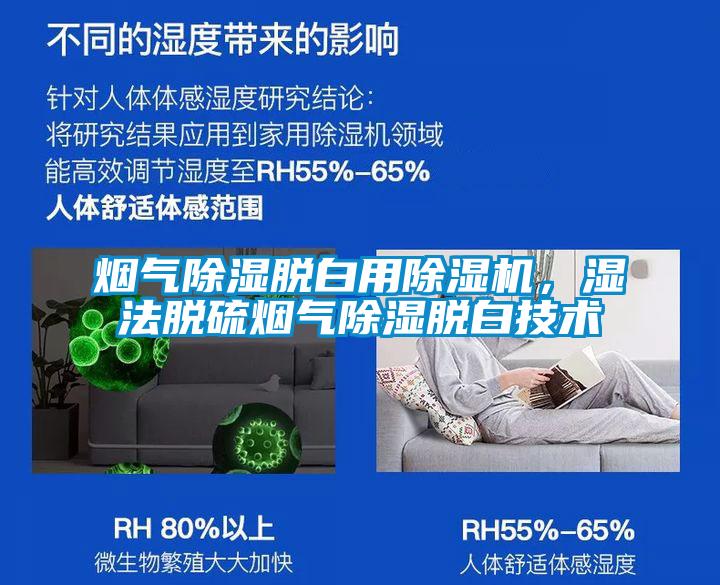 烟气除湿脱白用除湿机,湿法脱硫烟气除湿脱白技术