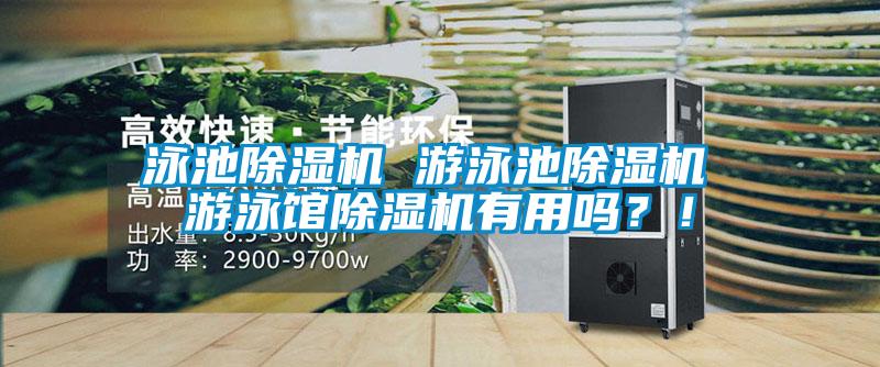 泳池除湿机 游泳池除湿机 游泳馆除湿机有用吗?!