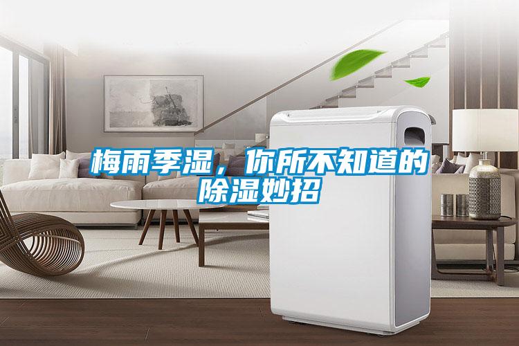 梅雨季湿,你所不知道的除湿妙招