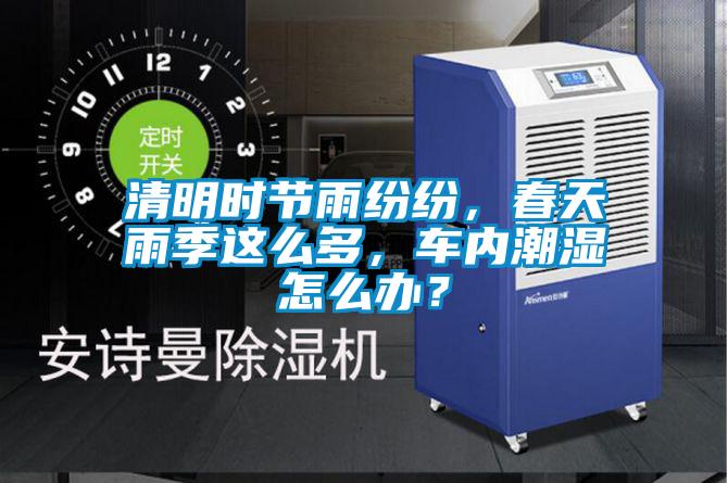 清明时节雨纷纷,春天雨季这么多,车内潮湿怎么办?
