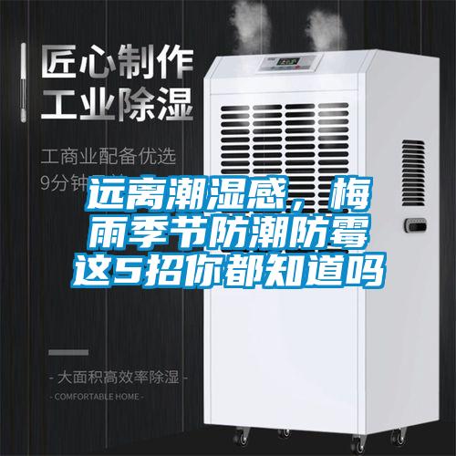 远离潮湿感,梅雨季节防潮防霉这5招你都知道吗