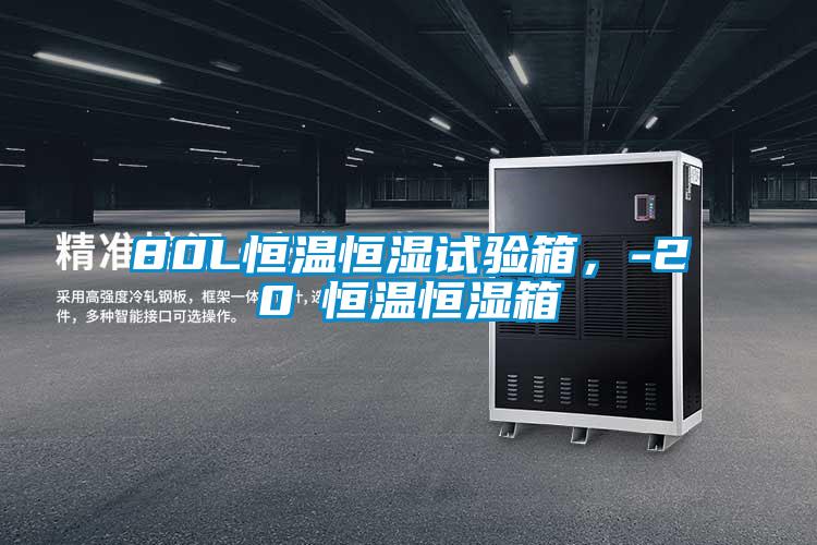 80L恒温恒湿试验箱,-20℃恒温恒湿箱