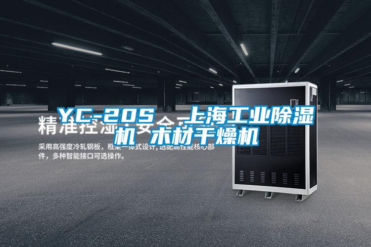YC-20S 上海工业除湿机 木材干燥机