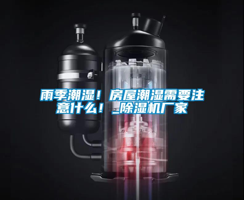 雨季潮湿!房屋潮湿需要注意什么!_除湿机厂家