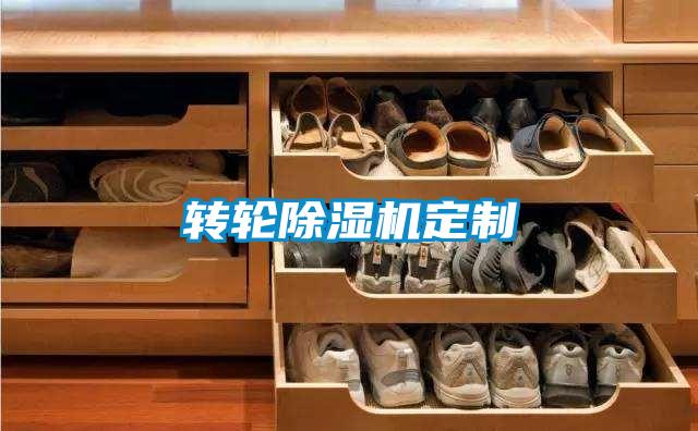 转轮除湿机定制