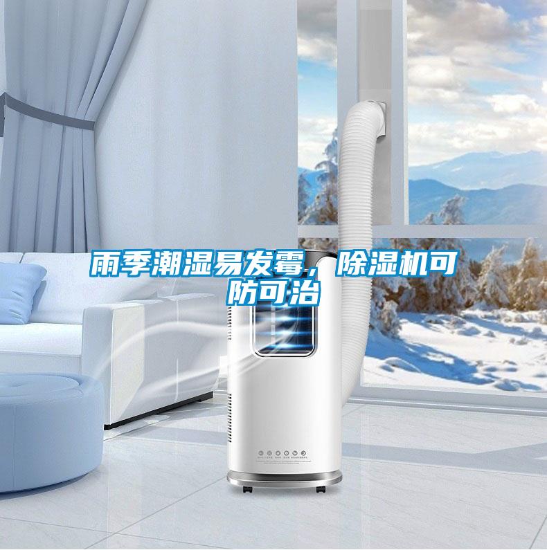 雨季潮湿易发霉,除湿机可防可治