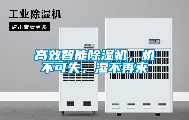 高效智能除湿机,机不可失,湿不再来