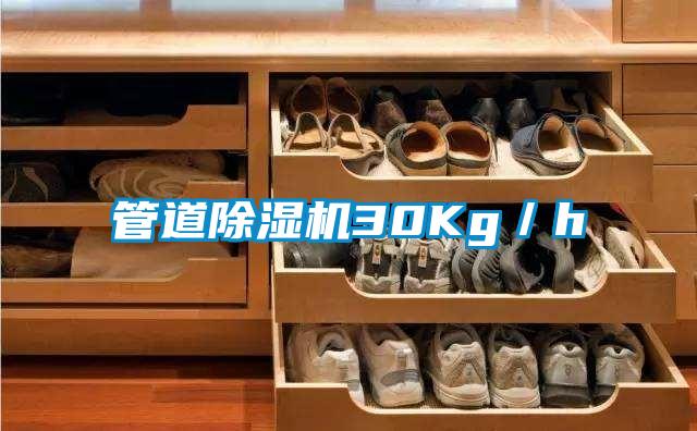 管道除湿机30Kg/h