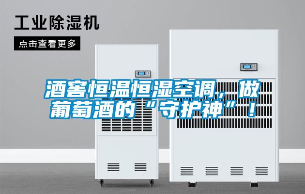 酒窖恒温恒湿空调,做葡萄酒的“守护神”!