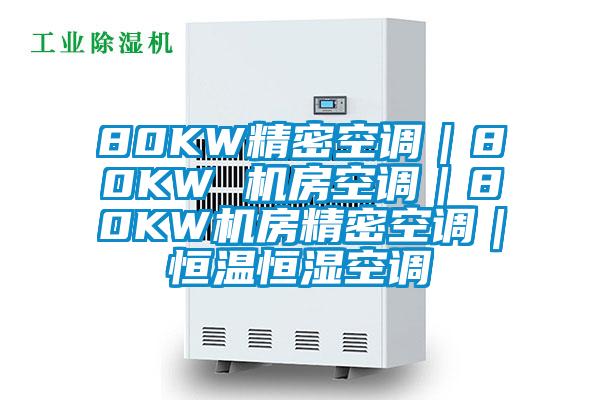 80KW精密空调|80KW 机房空调|80KW机房精密空调|恒温恒湿空调
