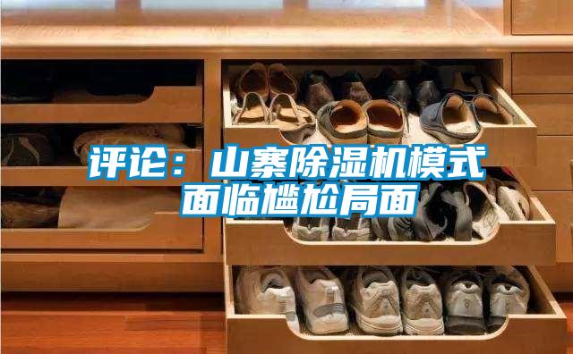 评论:山寨除湿机模式 面临尴尬局面