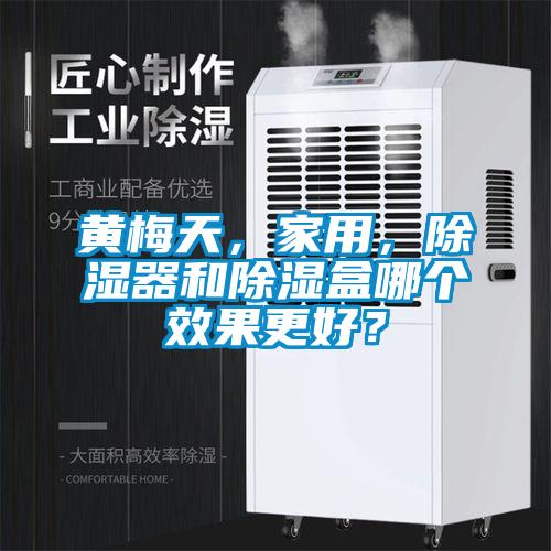 黄梅天,家用,除湿器和除湿盒哪个效果更好?