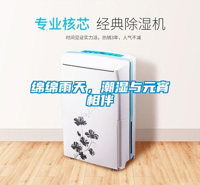 绵绵雨天,潮湿与元宵相伴