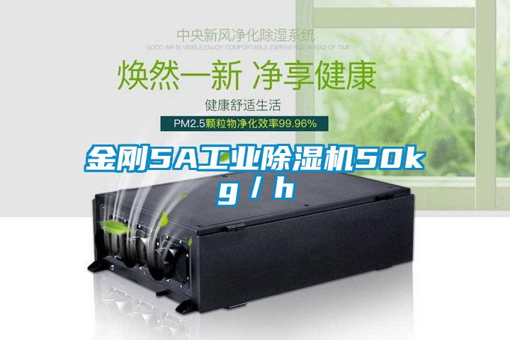 金刚5A工业除湿机50kg/h