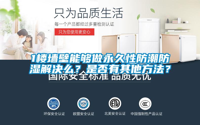 1楼墙壁能够做永久性防潮防湿解决么?是否有其他方法?
