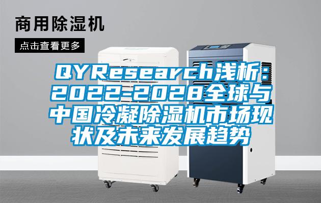 QYResearch浅析:2022-2028全球与中国冷凝除湿机市场现状及未来发展趋势