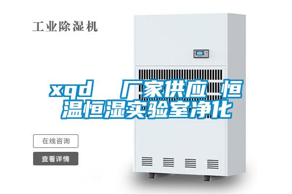 xqd 厂家供应 恒温恒湿实验室净化