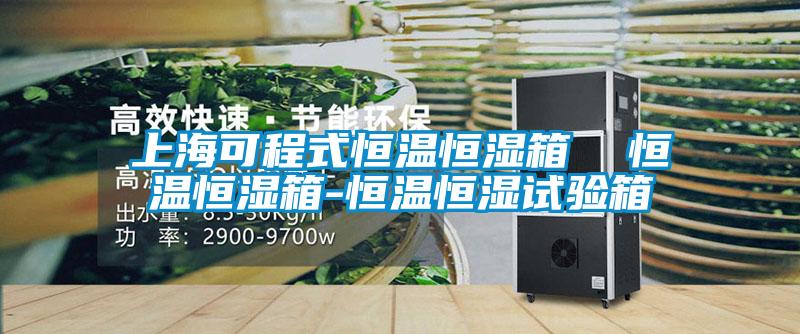 上海可程式恒温恒湿箱 恒温恒湿箱-恒温恒湿试验箱