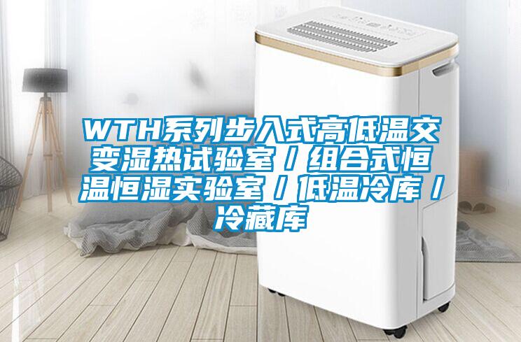 WTH系列步入式高低温交变湿热试验室/组合式恒温恒湿实验室/低温冷库/冷藏库
