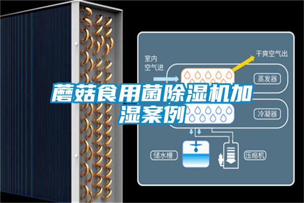 蘑菇食用菌除湿机加湿案例