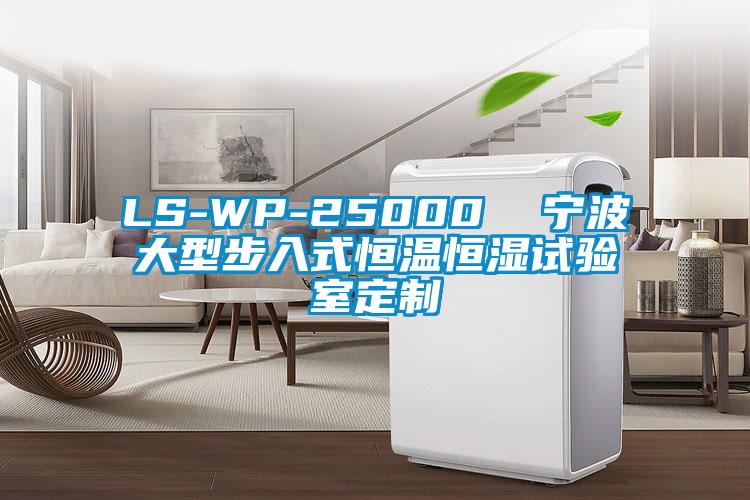LS-WP-25000 宁波大型步入式恒温恒湿试验室定制