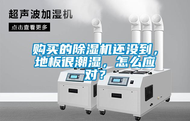 购买的除湿机还没到,地板很潮湿,怎么应对?