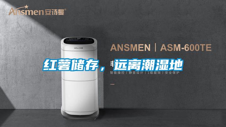 红薯储存,远离潮湿地