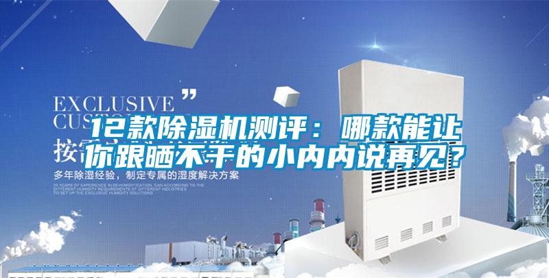 12款除湿机测评:哪款能让你跟晒不干的小内内说再见?